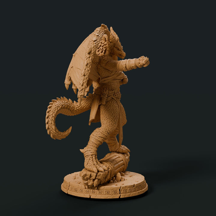 Female Silver Dragonborn Monk Miniature | Rhavelys Winged Open Hand Monk | UNPAINTED Resin DnD Pathfinder