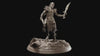 Centaur Armored two weapons | 28mm, 32mm, 75mm Scale Resin Miniature | Dungeons and Dragons | Flesh of Gods