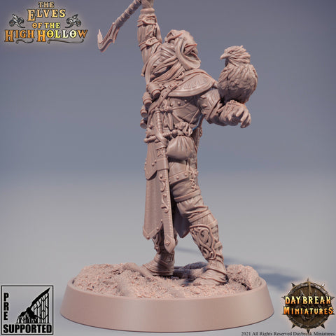 Wood Elf Ranger Polearm Master | Beast Master Ranger with Hawk | Miniature | 28mm Scale | 32mm Scale | 75mm Scale | Pathfinder Figure| DnD |