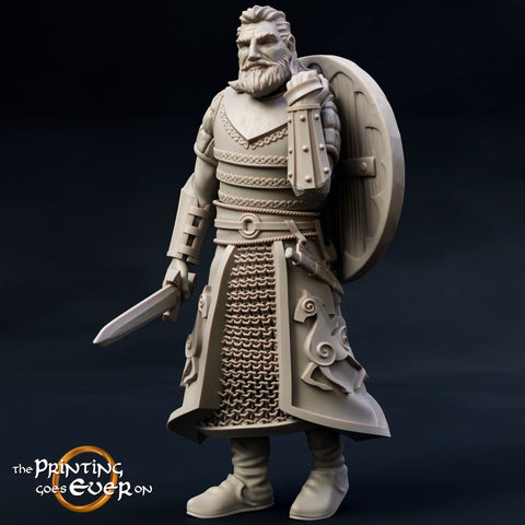 Fighter Sword and Shield in Studded Chainmail | 28mm Scale | 32mm Scale | 75mm Scale Pathfinder Figure |DnD| miniature Figurine unpainted|