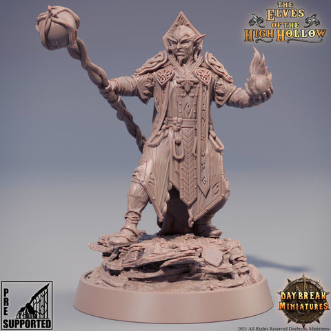 Wood Elf Wizard | Elf Druid | Miniature | 28mm Scale | 32mm Scale | 75mm Scale | Pathfinder Figure | DnD | Elf Figurine unpainted|