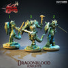 Dragonborn Fighters Knights Male and Female options| 28mm, 32mm, 75mm Scale Resin Miniature | Dungeons and Dragons |Pathfinder |Clay Cyanide