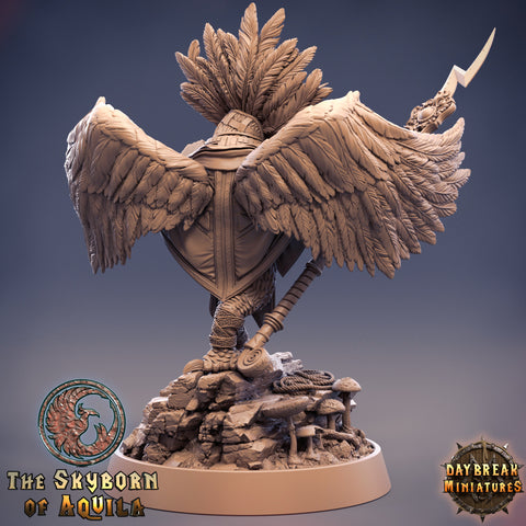 Aarakocra Wizard | 28mm, 32mm, 75mm Scale Resin Miniature | Dungeons and Dragons | Daybreak  Miniatures