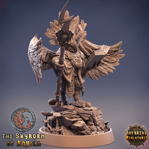 Aarakocra Wizard | 28mm, 32mm, 75mm Scale Resin Miniature | Dungeons and Dragons | Daybreak  Miniatures