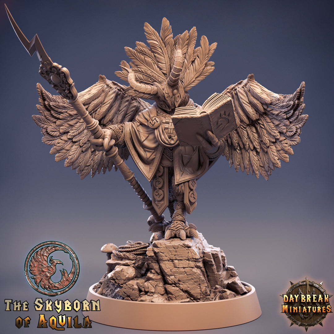 Aarakocra Wizard | 28mm, 32mm, 75mm Scale Resin Miniature | Dungeons and Dragons | Daybreak  Miniatures