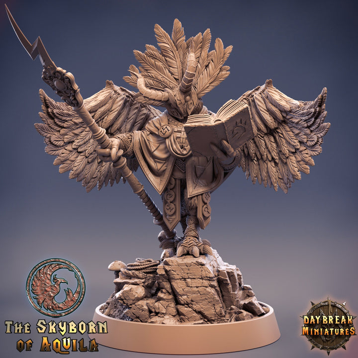 Aarakocra Wizard | 28mm, 32mm, 75mm Scale Resin Miniature | Dungeons and Dragons | Daybreak  Miniatures