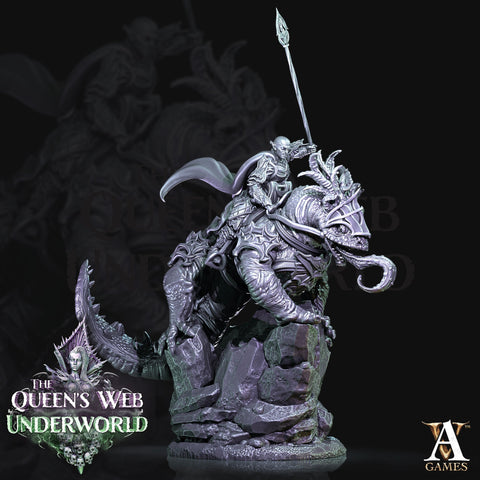 Mounted Dark Elf Fighter on Riding Lizard | 28mm and 32mm scale| DnD 5e Miniature | Drow Rider | Dungeons and Dragons| Pathfinder