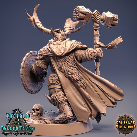 Druid Cleric Player Character | NPC Shaman | 28mm, 32mm, 75mm Scale Resin Miniature D&D 5e| Dungeons and Dragons | Daybreak  Miniatures