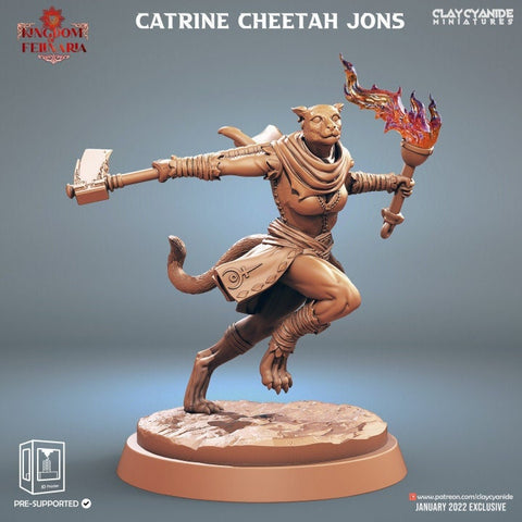 Female Tabaxi Fighter, Druid, Wizard, Cleric- Werepanther, Werecat, Catfolk | 28mm, 32mm, 75mm Scale | Dungeons and Dragons | Pathfinder |