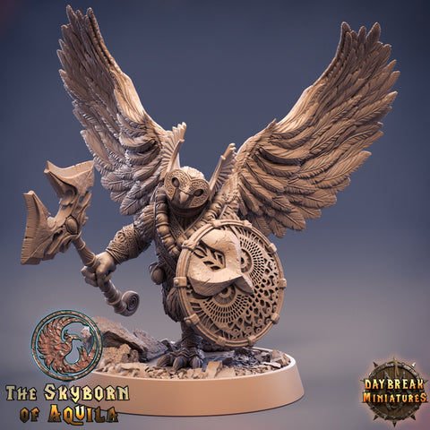 Aarakocra Owlfolk Fighter Ranger Paladin Cleric | 28mm, 32mm,75mm Scale Resin Miniature |Dungeons and Dragons |Daybreak  Miniatures