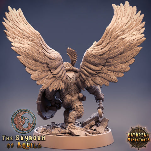 Aarakocra Owlfolk Fighter Ranger Paladin Cleric | 28mm, 32mm,75mm Scale Resin Miniature |Dungeons and Dragons |Daybreak  Miniatures