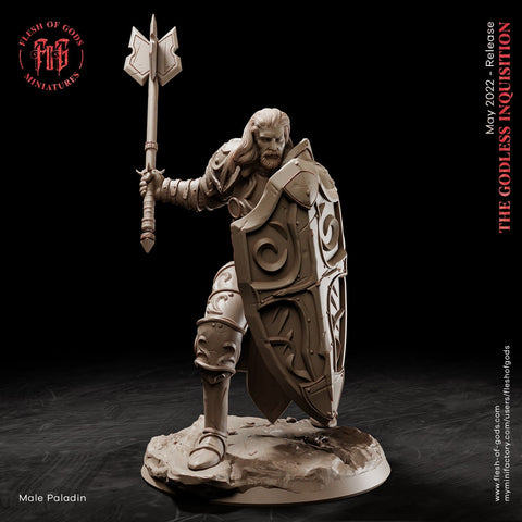 Paladin Cleric with Mace and Shield in Heavy Armor Miniature | Dungeons and Dragons | 28mm, 32mm,75mm Scales | Pathfinder |Unpainted Figure
