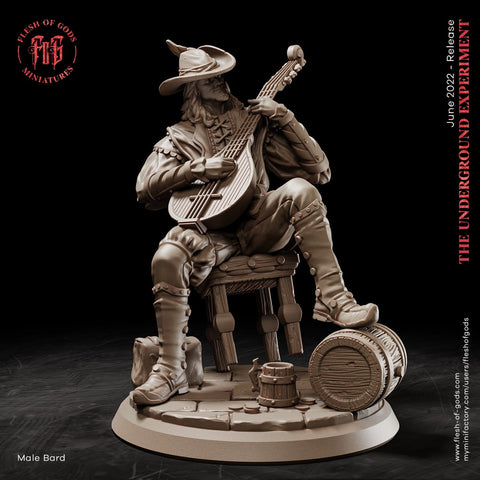 Bard Rogue PC NPC | 28mm, 32mm, 75mm Scale Resin Miniature | Dungeons and Dragons | Flesh of Gods