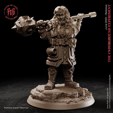 Dwarf Female Fighter Cleric | 28mm,32mm Scale ,50mm Tall | Dungeons and Dragons | Figurine mini - D&D 5e | Flesh of Gods