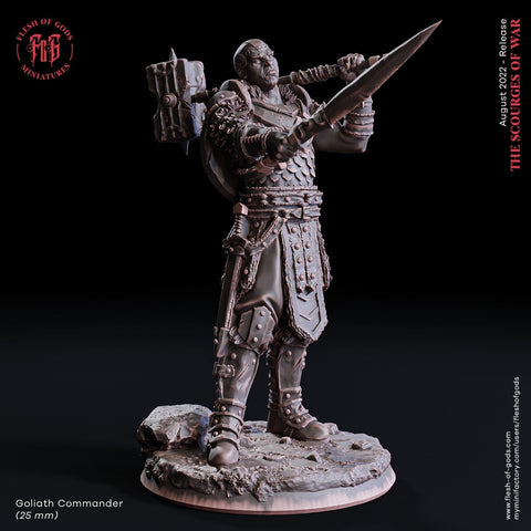 Fighter Battle Master in Armor Sword and Hammer | Dungeons and Dragons | 28mm, 32mm,75mm Scales |Pathfinder |Unpainted Figure| Flesh of Gods