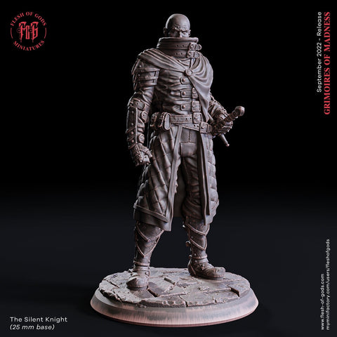 Fighter Eldritch Knight in Armor, Hexblade Warlock | Dungeons and Dragons | 28mm, 32mm,75mm Scales | Pathfinder |Unpainted Figure