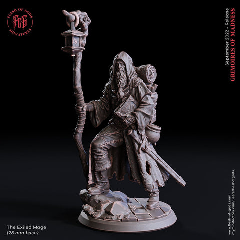 Adventurer Wizard, Warlock, Sorcerer  | 28mm Scale | 32mm Scale | 75mm Scale  - Player Character Mini - D&D 5e - Pathfinder Figurine FOG