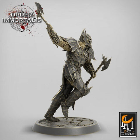 Fighter Two Weapon style Axes , Chaos Knight,  Unpainted Miniature | 28mm, 32mm,75mm Scales | Dungeons and Dragons | Pathfinder |