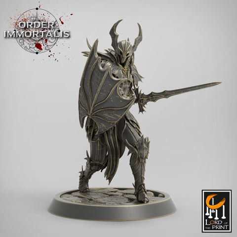 Fighter Sword and Shield , Chaos Knight,  Unpainted Miniature | 28mm, 32mm,75mm Scales | Dungeons and Dragons | Pathfinder |
