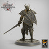 Fighter Sword and Shield, Oathbreaker Paladin,Unpainted Miniature | 28mm, 32mm,75mm Scales | Dungeons and Dragons | Pathfinder |