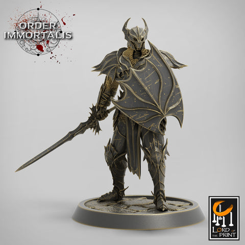 Fighter Sword and Shield, Oathbreaker Paladin,  Unpainted Miniature | 28mm, 32mm,75mm Scales | Dungeons and Dragons | Pathfinder |