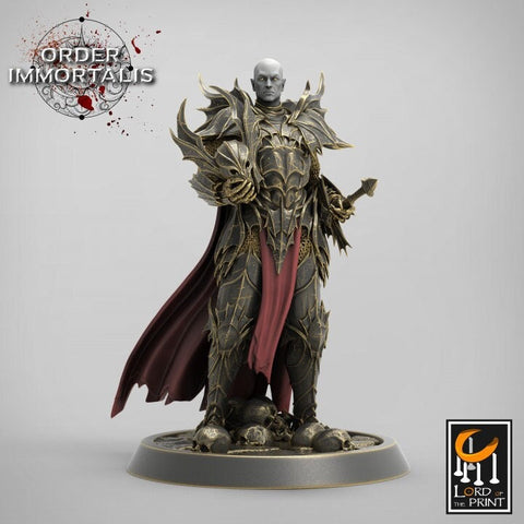 Oathbreaker Paladin, Chaos Knight, Vampire Knight Unpainted Miniature | 28mm, 32mm,75mm Scales | Dungeons and Dragons | Pathfinder |