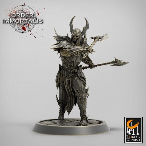 Fighter Two Weapon style Axes , Chaos Knight,  Unpainted Miniature | 28mm, 32mm,75mm Scales | Dungeons and Dragons | Pathfinder |