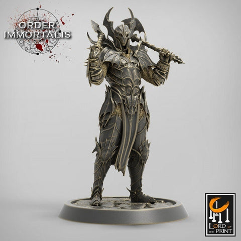 Fighter Two Weapon style Axes , Chaos Knight,  Unpainted Miniature | 28mm, 32mm,75mm Scales | Dungeons and Dragons | Pathfinder |