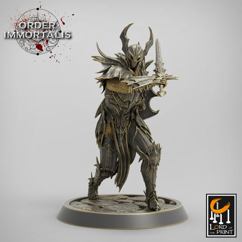 Fighter Sword and Shield, Oathbreaker Paladin,  Unpainted Miniature | 28mm, 32mm,75mm Scales | Dungeons and Dragons | Pathfinder |