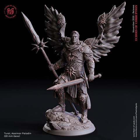 AAsimar Paladin Cleric with Sword and Lance in Heavy Armor | Dungeons and Dragons | 28mm, 32mm,75mm Scales | Pathfinder |Unpainted Figure
