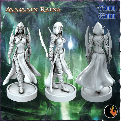Female Elf Assassin Sexy Pinup  | 28mm, 32mm, 75mm Scale | Dungeons and Dragons 5e Miniatures | DnD Mini |