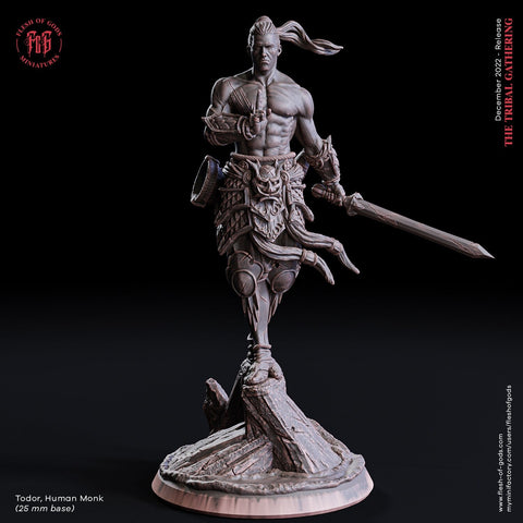 Human Monk | 28mm, 32mm, 75mm Scale Resin Miniature | Dungeons and Dragons | Flesh of Gods