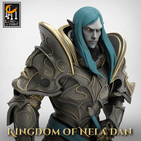 High Elf Lord Paladin, Moon Elf,  Eladrin  Unpainted Miniature | 28mm, 32mm,75mm Scales | Dungeons and Dragons | Pathfinder |