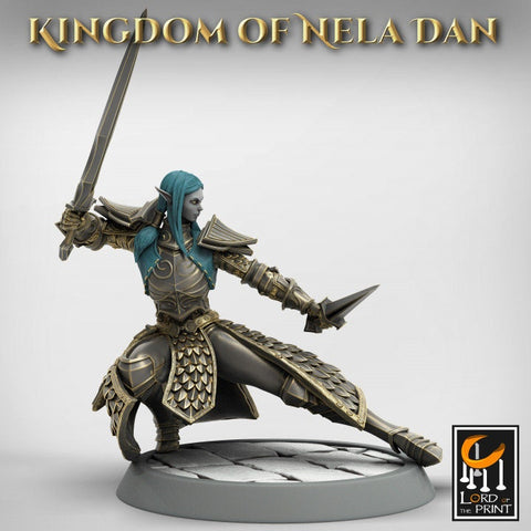 High Elf Two Weapon Master, Moon Elf,  Eladrin  Unpainted Miniature | 28mm, 32mm,75mm Scales | Dungeons and Dragons | Pathfinder |