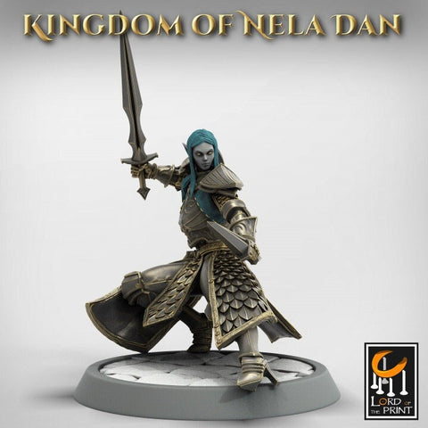 High Elf Two Weapon Master, Moon Elf,  Eladrin  Unpainted Miniature | 28mm, 32mm,75mm Scales | Dungeons and Dragons | Pathfinder |