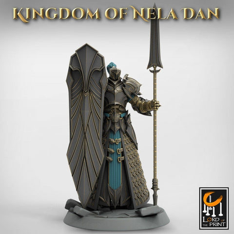 High Elf Praetaorian Spear and Shield , Moon Elf,  Eladrin Unpainted  | 28mm, 32mm,54mm,75mm Scales | Dungeons and Dragons | Pathfinder |