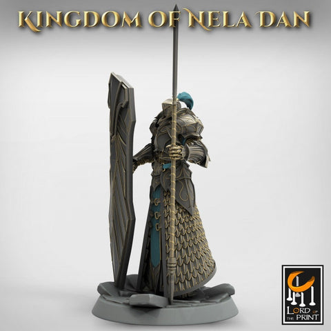 High Elf Praetaorian Spear and Shield , Moon Elf,  Eladrin Unpainted  | 28mm, 32mm,54mm,75mm Scales | Dungeons and Dragons | Pathfinder |