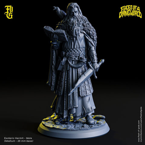 Human Wizard, Eldritch Knight | 28mm, 32mm,54mm, 75mm, 100mm Scale Resin Mini | Undead Dungeons and Dragons 5e Miniatures| Flesh of Gods