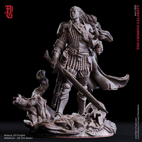Female Elf Fighter Battle Master, Ranger Paladin PC NPC | 28mm, 32mm,54mm, 75mm,100mm Scale Resin Mini | Dungeons and Dragons| Flesh of Gods