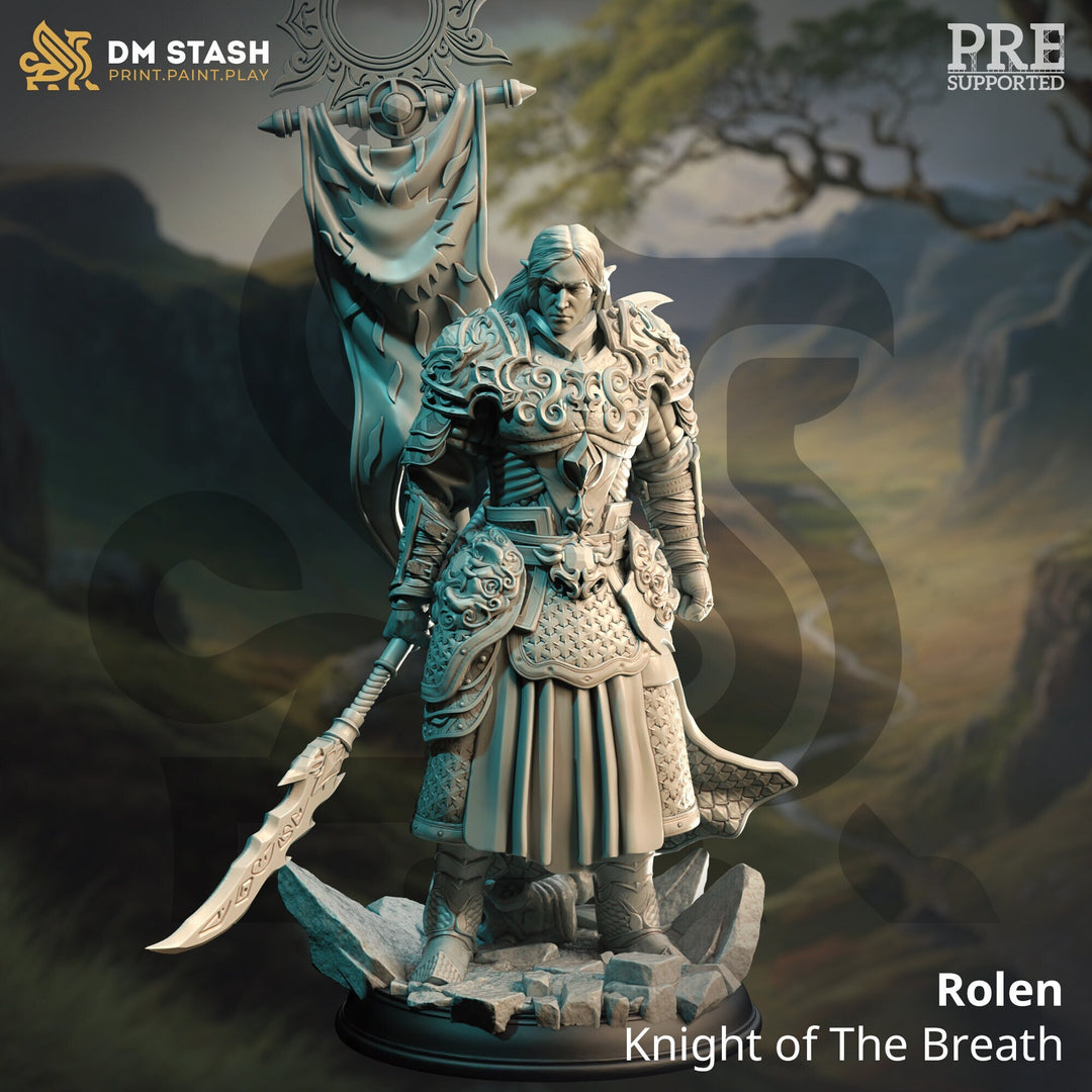 High Elf Lord Paladin Fighter, Moon Elf,  Eladrin Miniature | 28mm, 32mm,54mm,75mm, 100mm Scales | Dungeons and Dragons Pathfinder |DM Stash