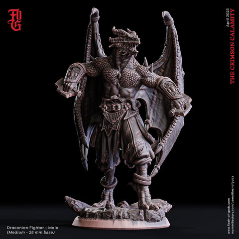 Dragonborn Fighter Brawler, Monk | 28mm, 32mm, 75mm Scale Resin Miniature | Dungeons and Dragons D&D 5e  | Pathfinder | Flesh of Gods