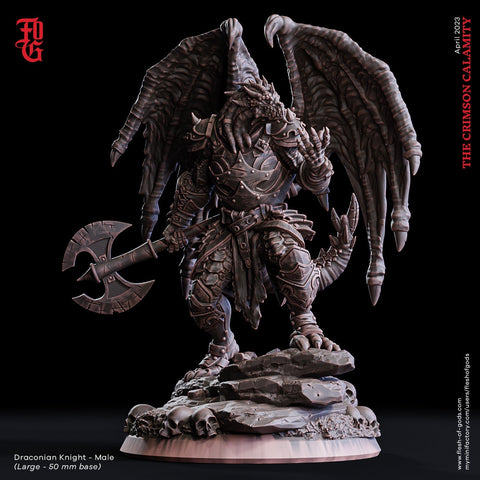 Dragonborn Paladin 2handed Axe model | 28mm, 32mm, 54mm,75mm,100mm Scale Resin Miniature Dungeons and Dragons D&D Pathfinder | Flesh of Gods