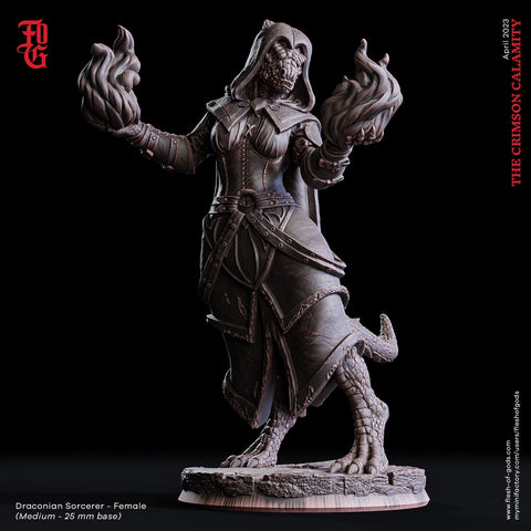 Female Dragonborn Sorcerer, Wizard, Warlock | 28mm, 32mm, 75mm Scale Resin Figure | Dungeons & Dragons DnD 5e  | Pathfinder | Flesh of Gods