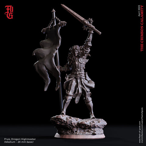 Oathbreaker Female Paladin Fighter | 28mm, 32mm,54mm,75mm,100mm Scales |Player Character Mini Minis D&D5e Pathfinder Figurine |Flesh of Gods