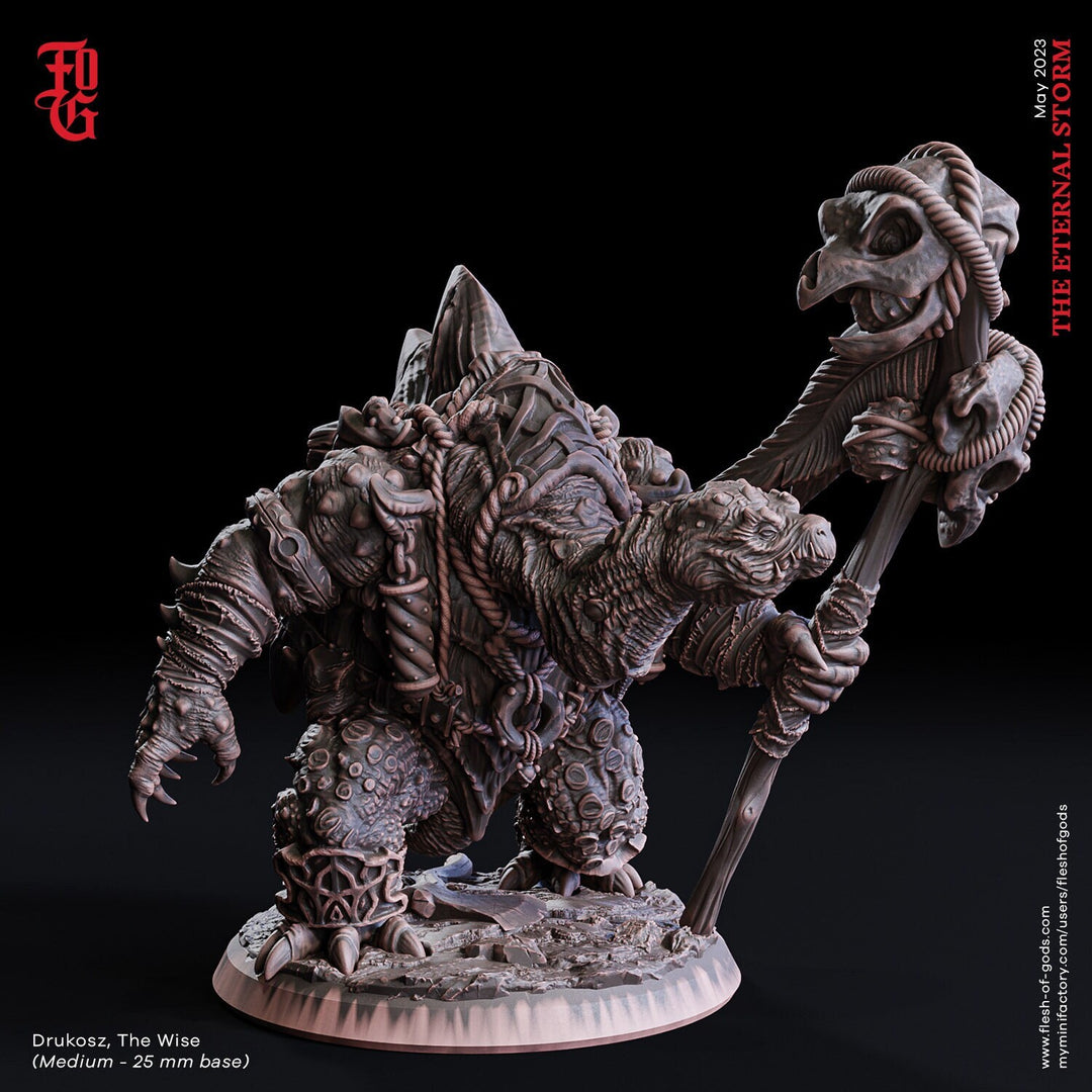 Tortle Druid Cleric Monk PC NPC | 28mm, 32mm,54mm,75mm Scales | Player Character Mini  -D&D 5e Pathfinder Figurine |Flesh of Gods