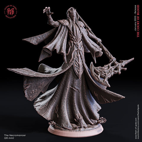 Necromancer, Wizard, Warlock, Sorcerer | 28mm, 32mm,54mm,75mm,100mm Scales |Player Character Mini D&D5e Pathfinder Figurine |Flesh of Gods