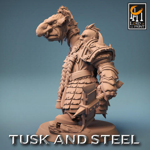 Dwarf Fighter Paladin Axe & Goblin Head Unpainted | 28mm, 32mm,54mm,75mm,100mm Scales | Dungeons and Dragons Pathfinder Lord of The Print