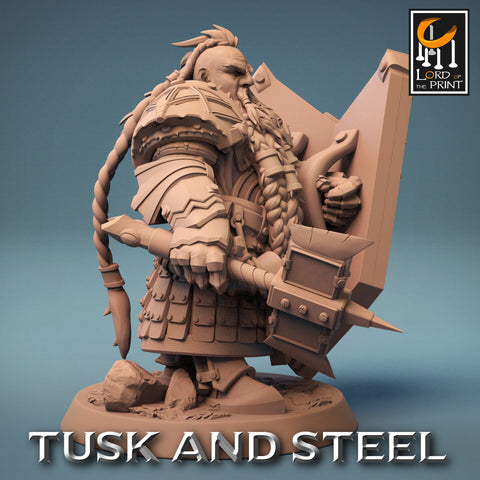 Dwarf Fighter Paladin Axe & Shield Unpainted Model | 28mm, 32mm,54mm,75mm,100mm Scales | Dungeons and Dragons Pathfinder Lord of The Print