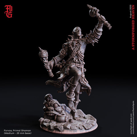 Druid Shaman Cleric Wizard Necromancer, PC NPC | 28mm, 32mm,54mm, 75mm, 100mm Scale Resin Mini | Dungeons and Dragons | Flesh of Gods
