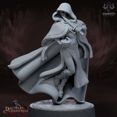 Female Assassin Rogue Thief PC or NPC D&D 5e Unpainted | 28mm, 32mm, 50mm,75mm,100mm | Dungeons and Dragons | Pathfinder | Mammoth Factory